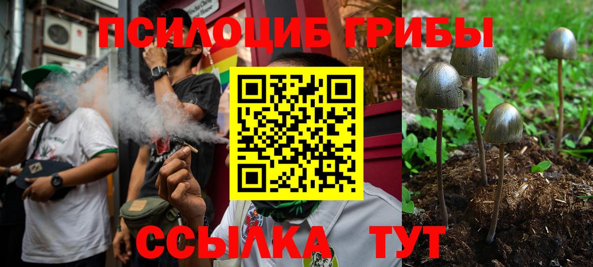 Ульяновск  Галлюциногенные грибы MAGIC MUSHROOMS  Вход с VPN 